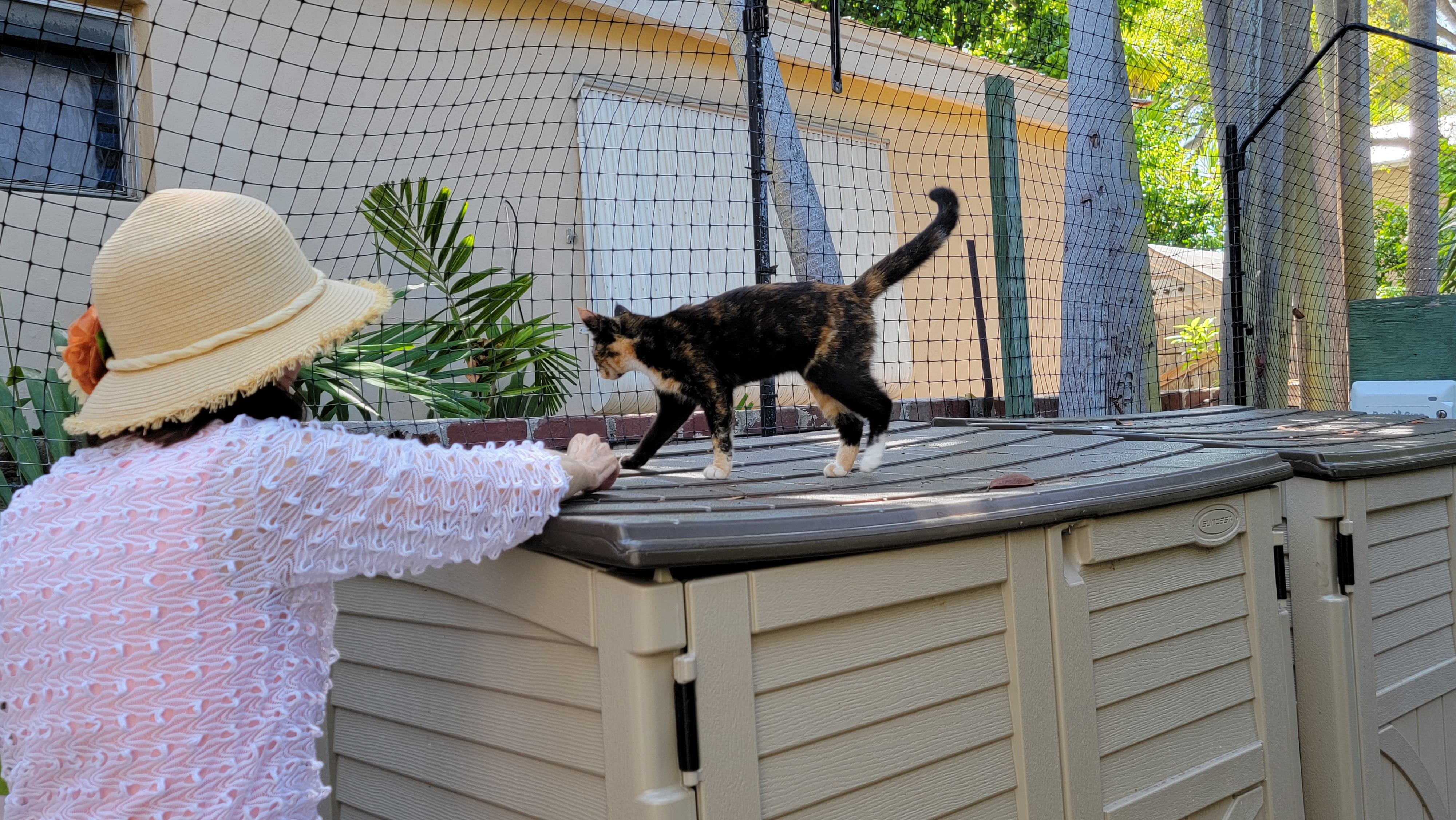 Photo shared by Bob