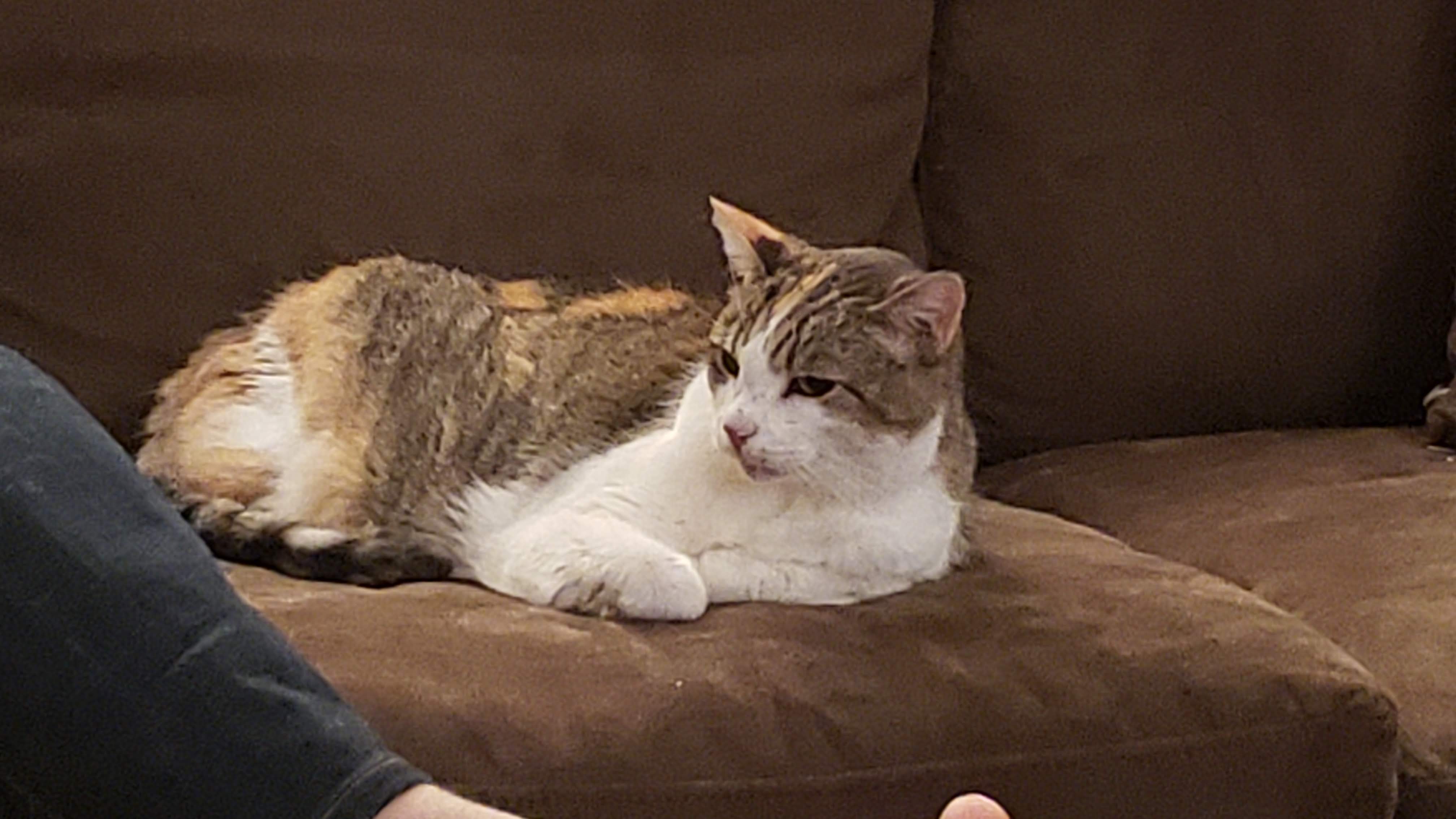 Photo shared by Bob