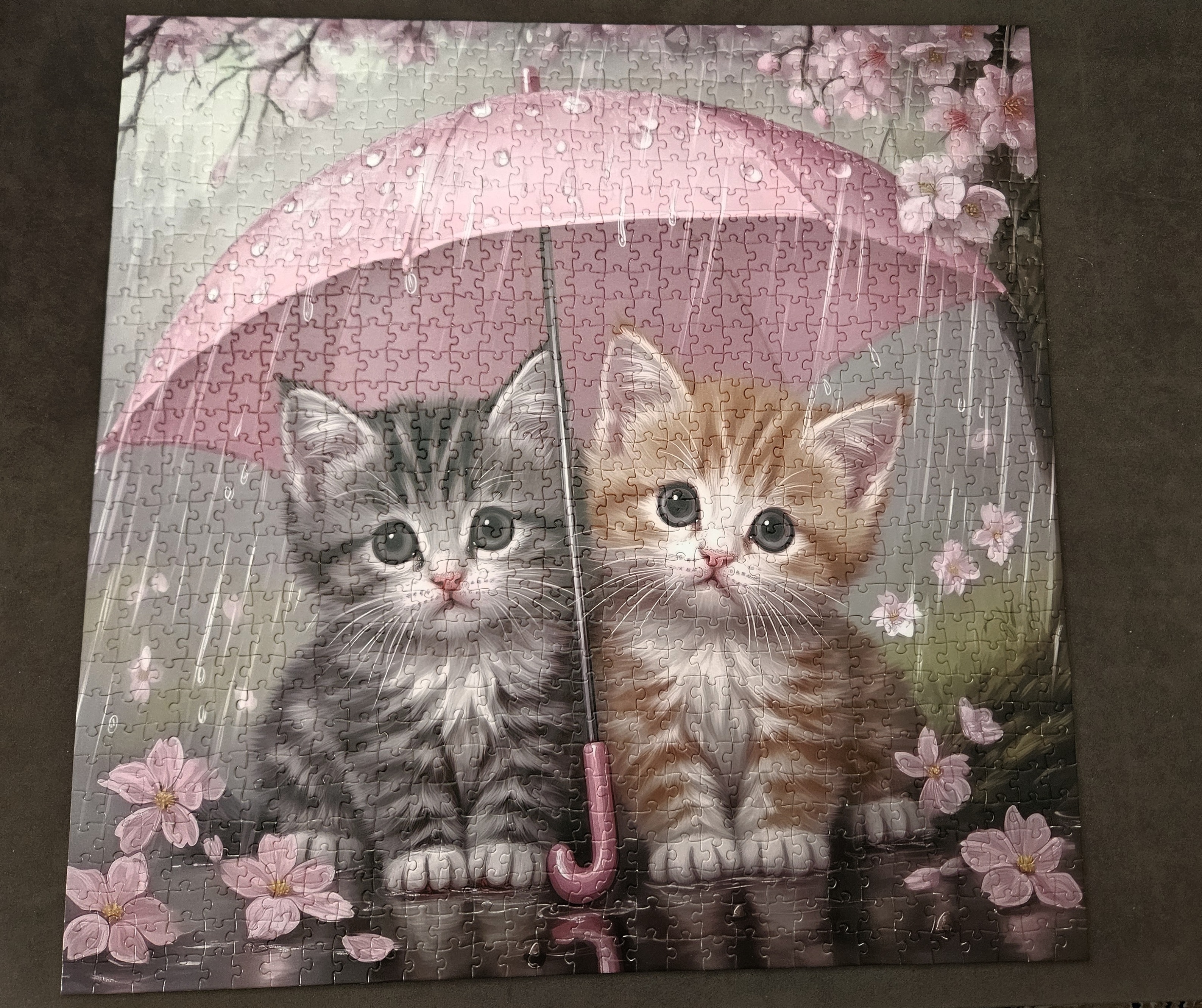 Photo shared by Linda